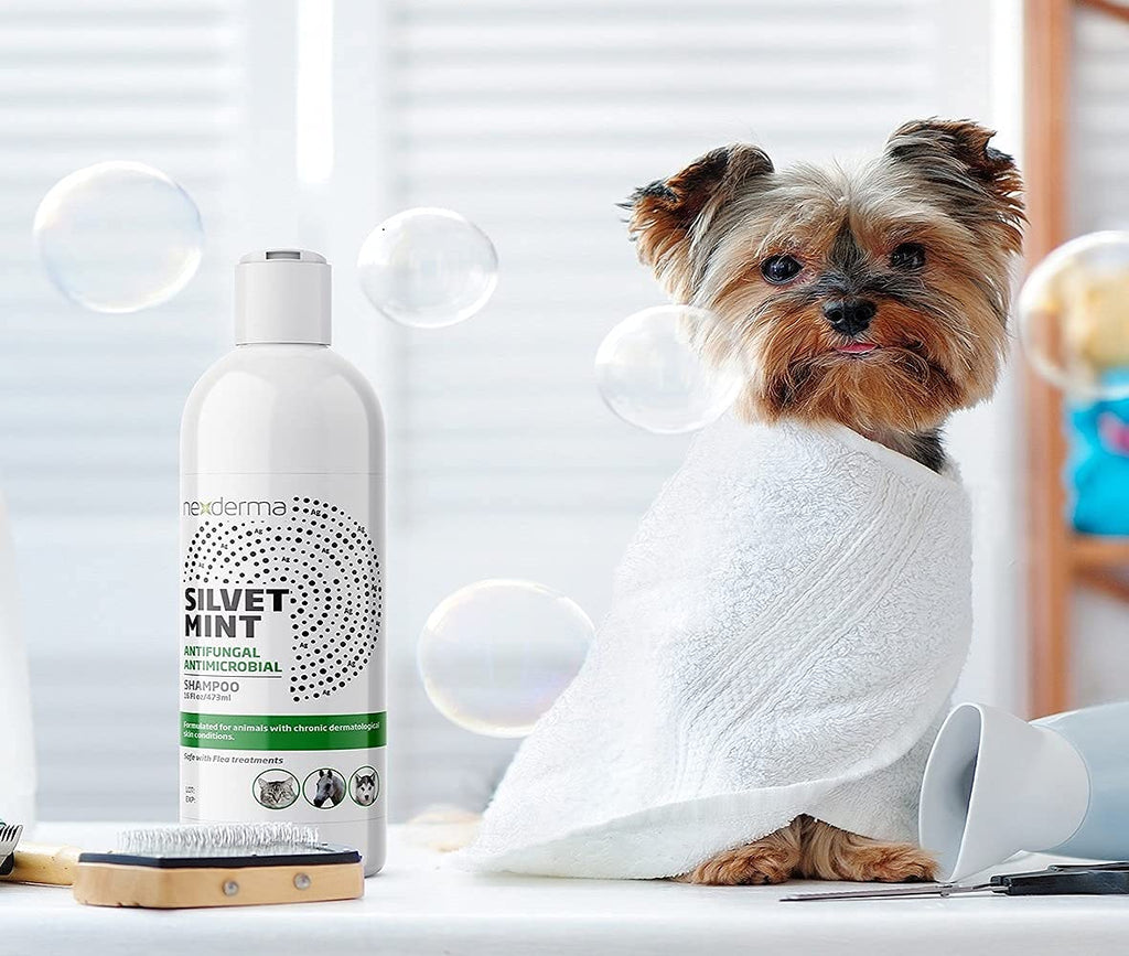Tearless Hypoallergenic Coconut Oil Pet Shampoo 16oz Y2406
