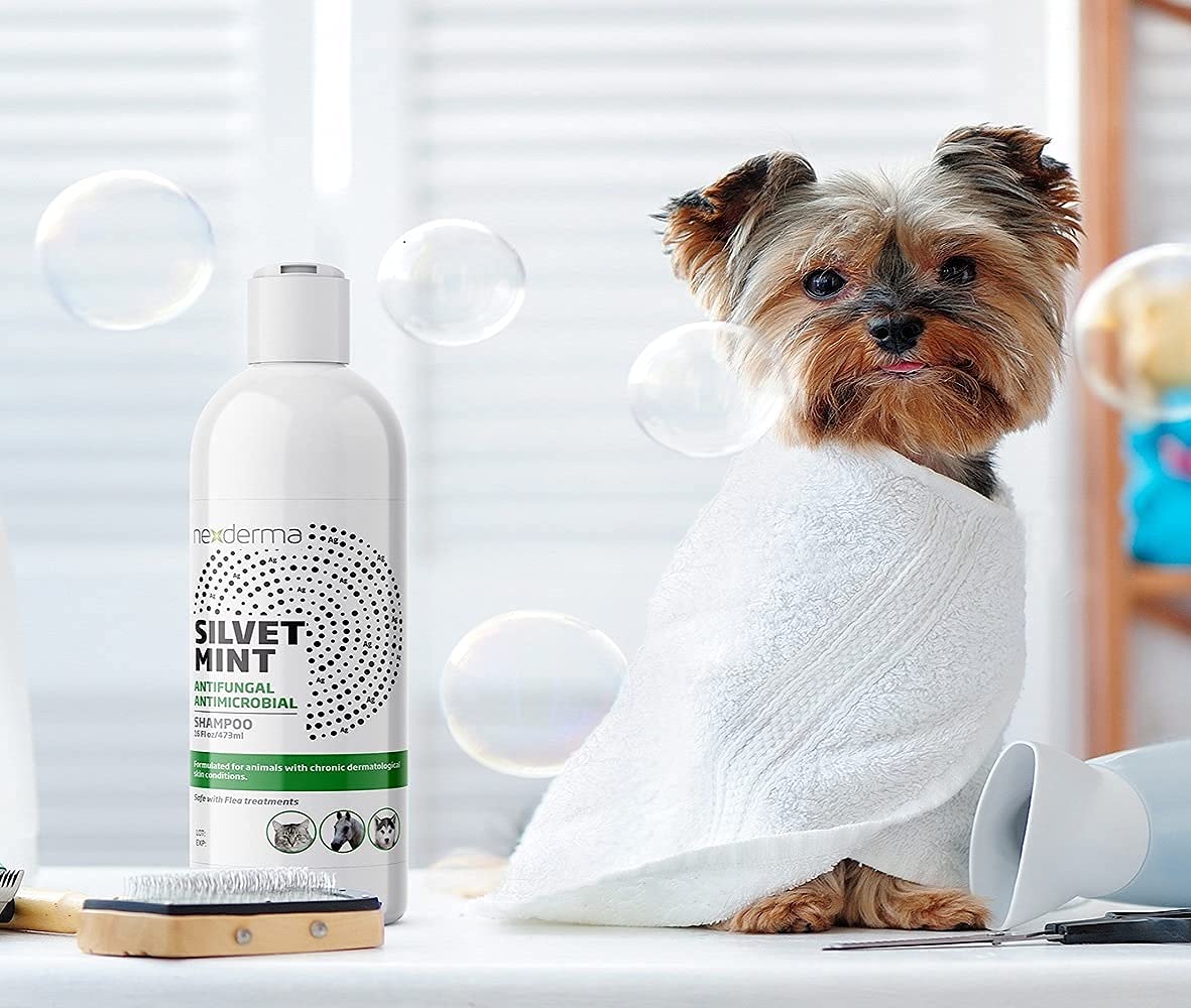 Tearless Hypoallergenic Coconut Oil Pet Shampoo 16oz Y2406