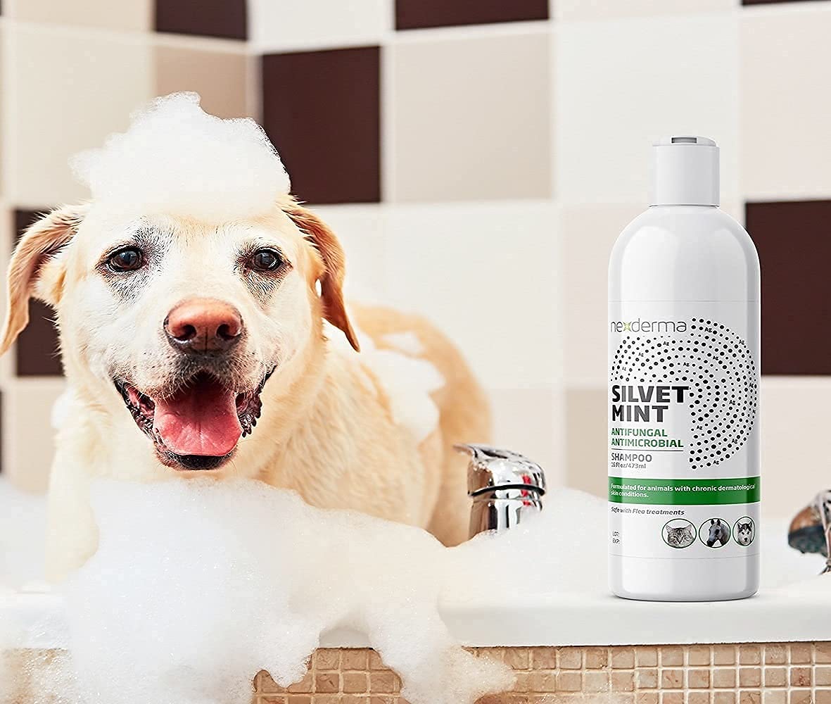 Tearless Hypoallergenic Coconut Oil Pet Shampoo 16oz Y2406