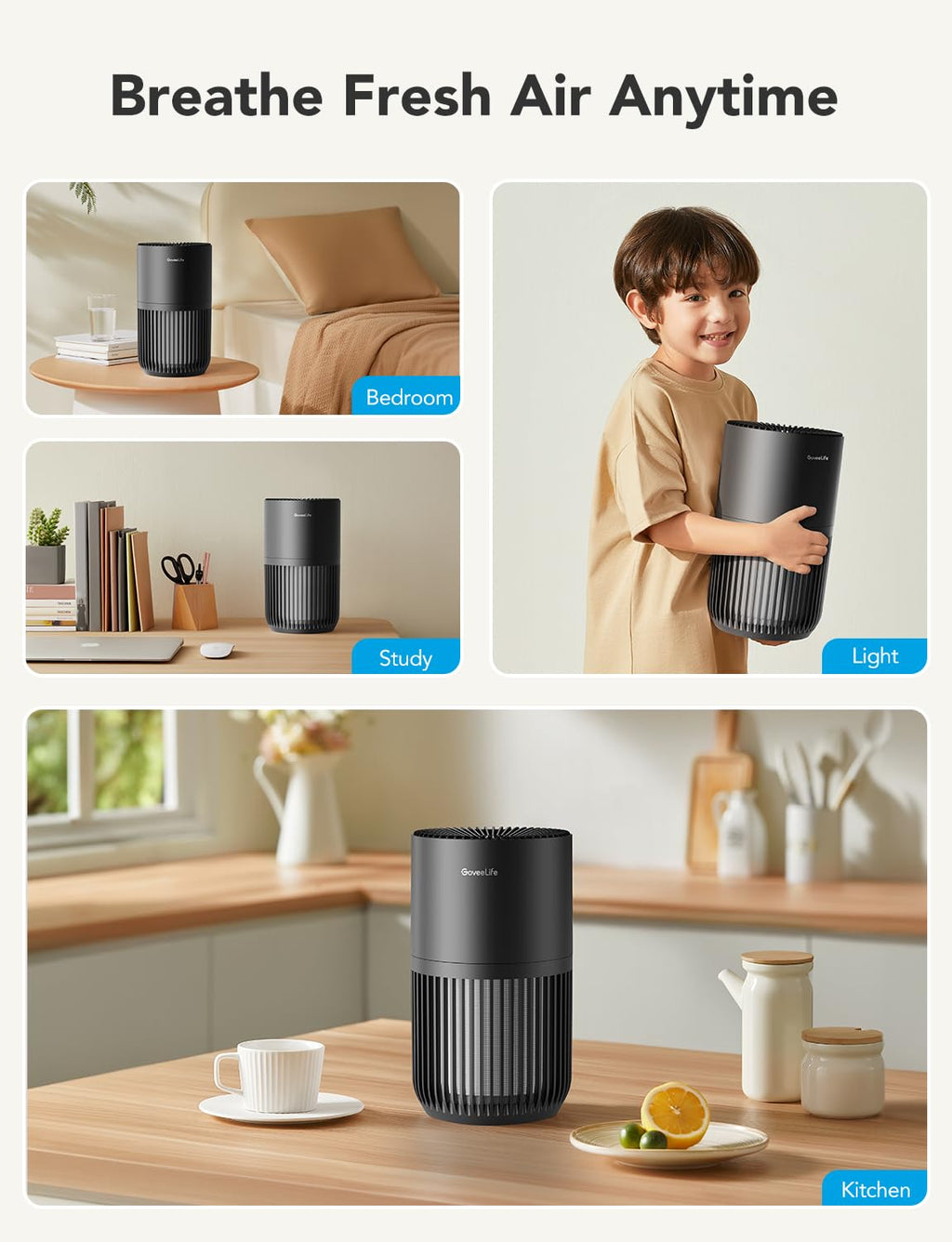Dehumidifier with Mini Air Purifier H7077