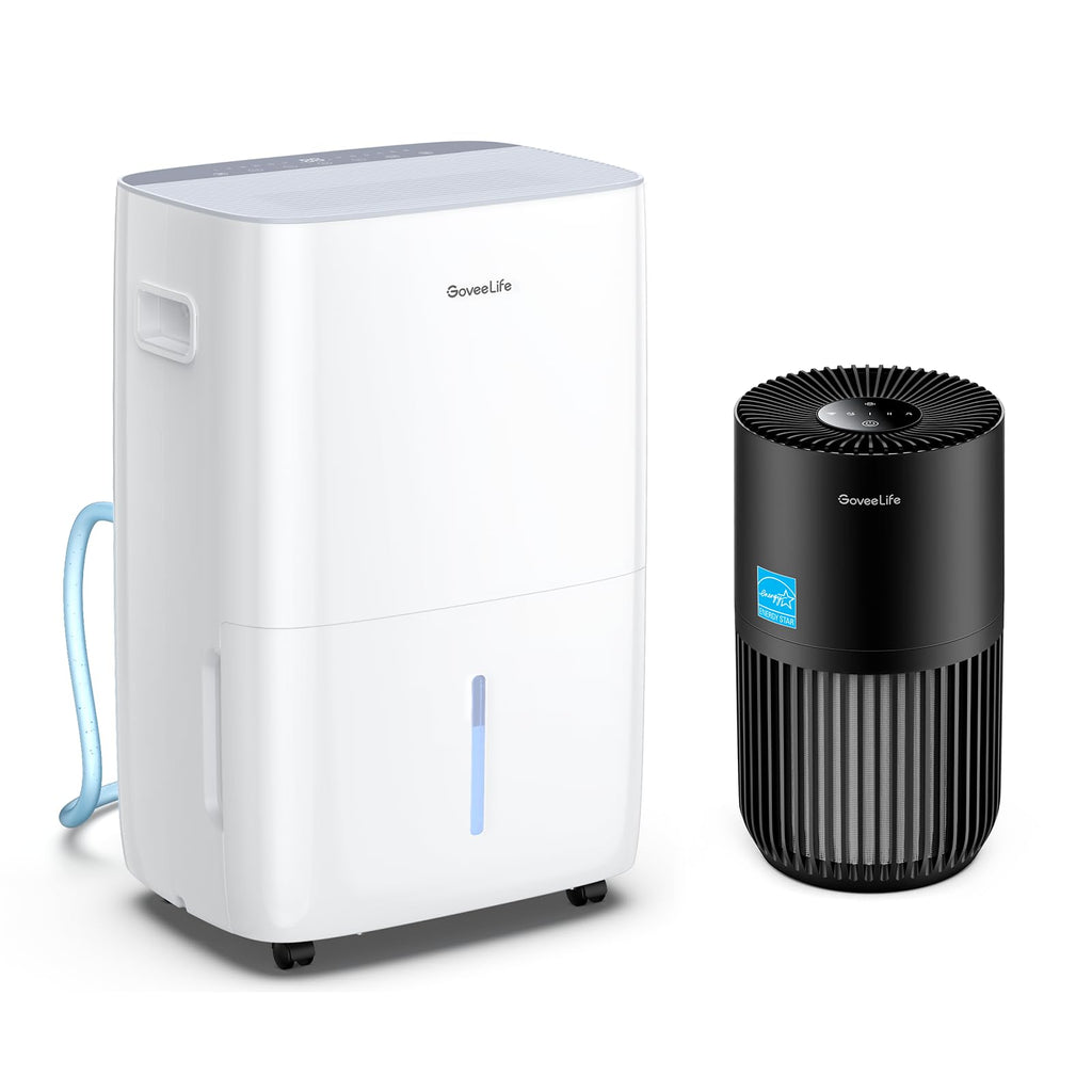 Dehumidifier with Mini Air Purifier H7077