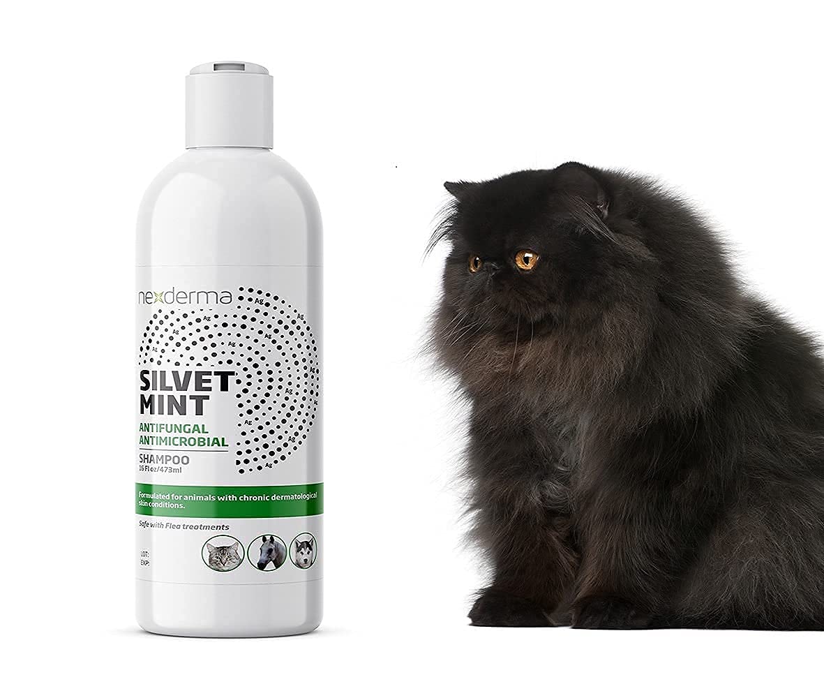 Tearless Hypoallergenic Coconut Oil Pet Shampoo 16oz Y2406