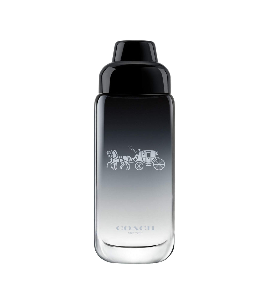 Eau de Toilette Fougere Woody Fragrance P9860