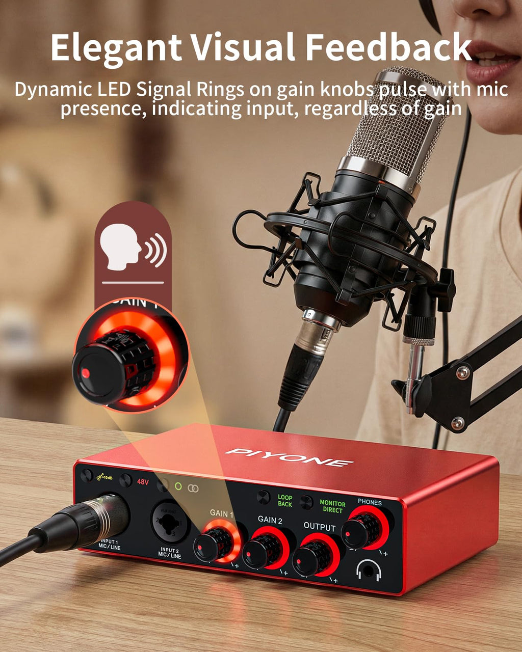 2X2 24-bit/192kHz Audio Interface with XLR/TRS Combo Input R766661