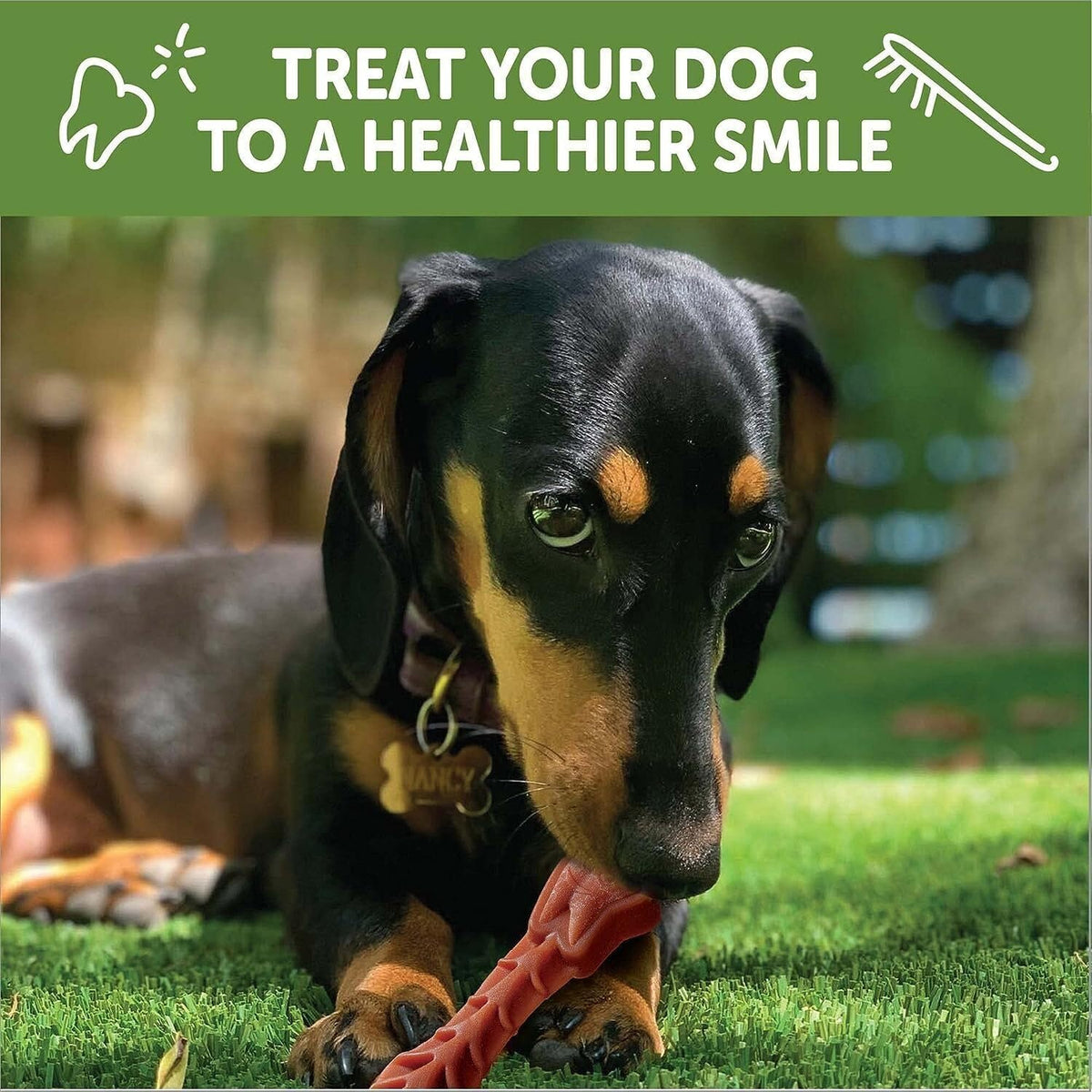 Natural Grain-Free Dental Dog Treats Variety Pack Y830