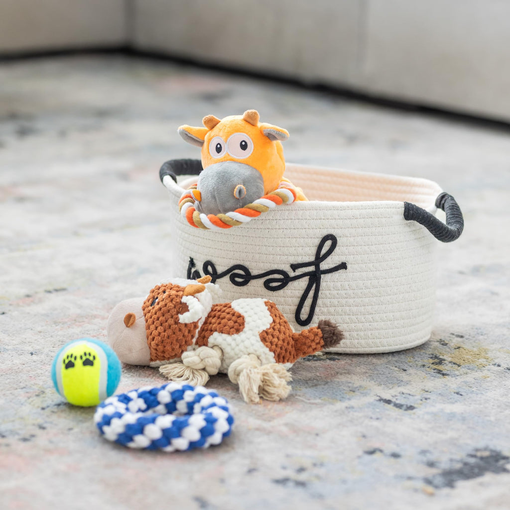 Puppy Gift Basket G23810