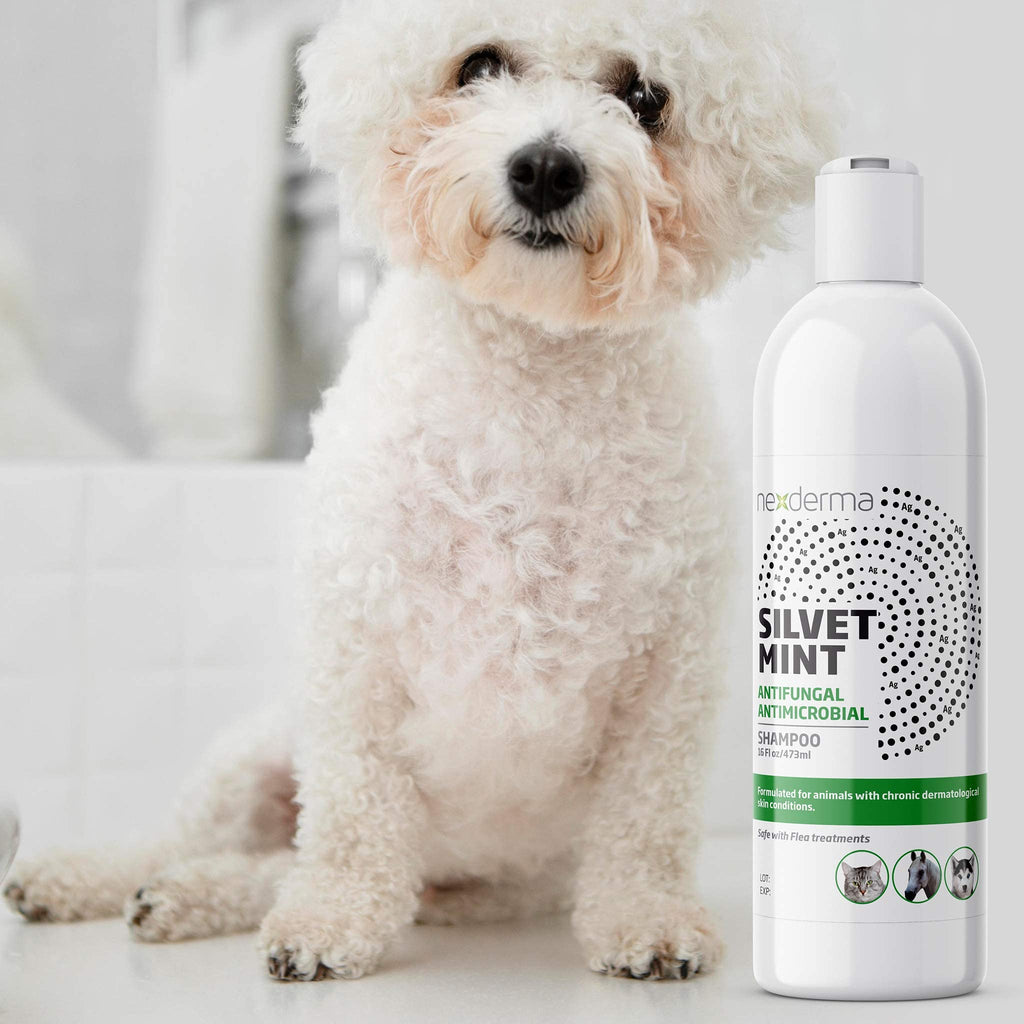 Tearless Hypoallergenic Coconut Oil Pet Shampoo 16oz Y2406