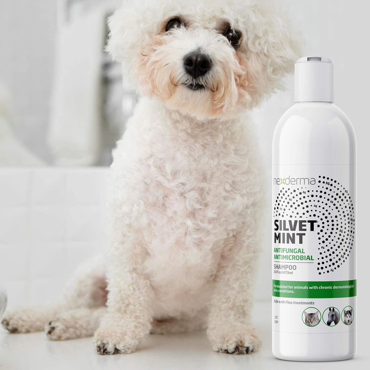 Tearless Hypoallergenic Coconut Oil Pet Shampoo 16oz Y2406
