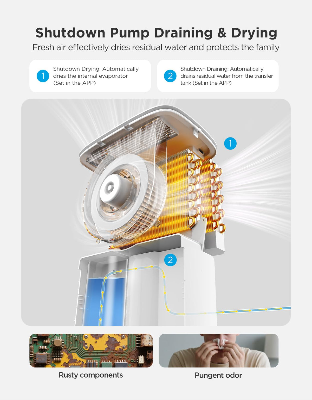 Dehumidifier with Mini Air Purifier H7077
