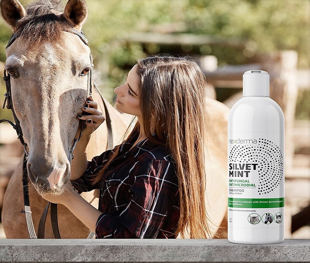 Tearless Hypoallergenic Coconut Oil Pet Shampoo 16oz Y2406