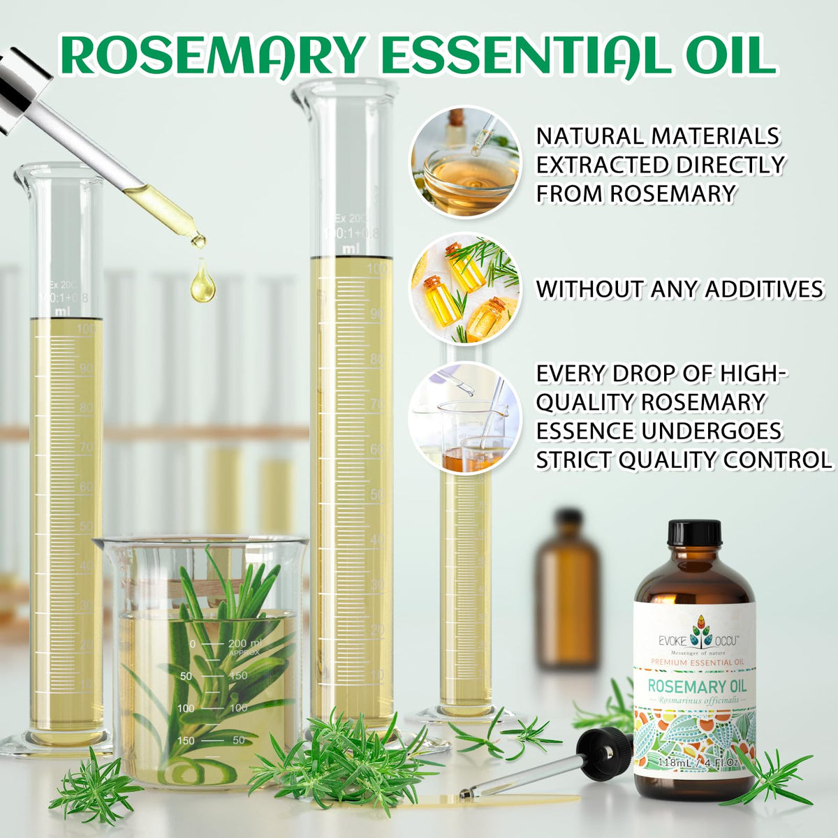Rosemary and Lavender Essential Oil 4 Fl Oz M98040