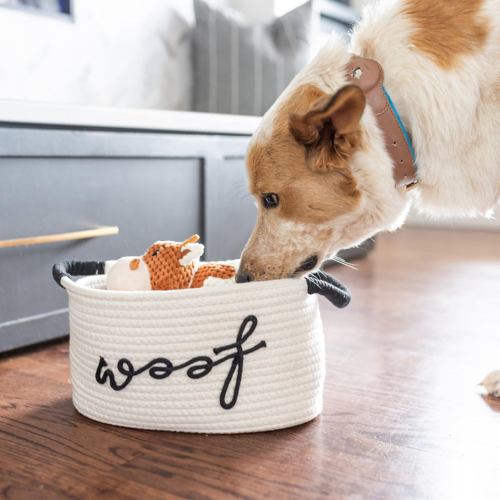 Puppy Gift Basket G23810