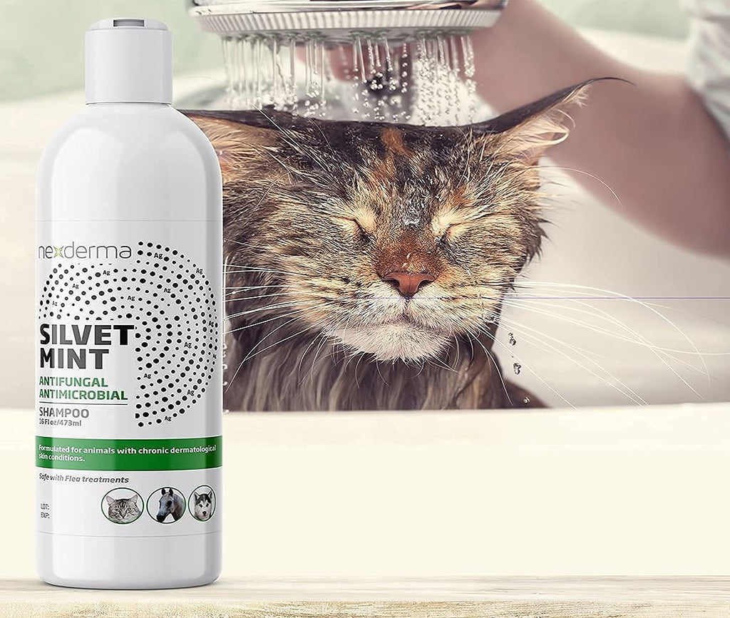 Tearless Hypoallergenic Coconut Oil Pet Shampoo 16oz Y2406