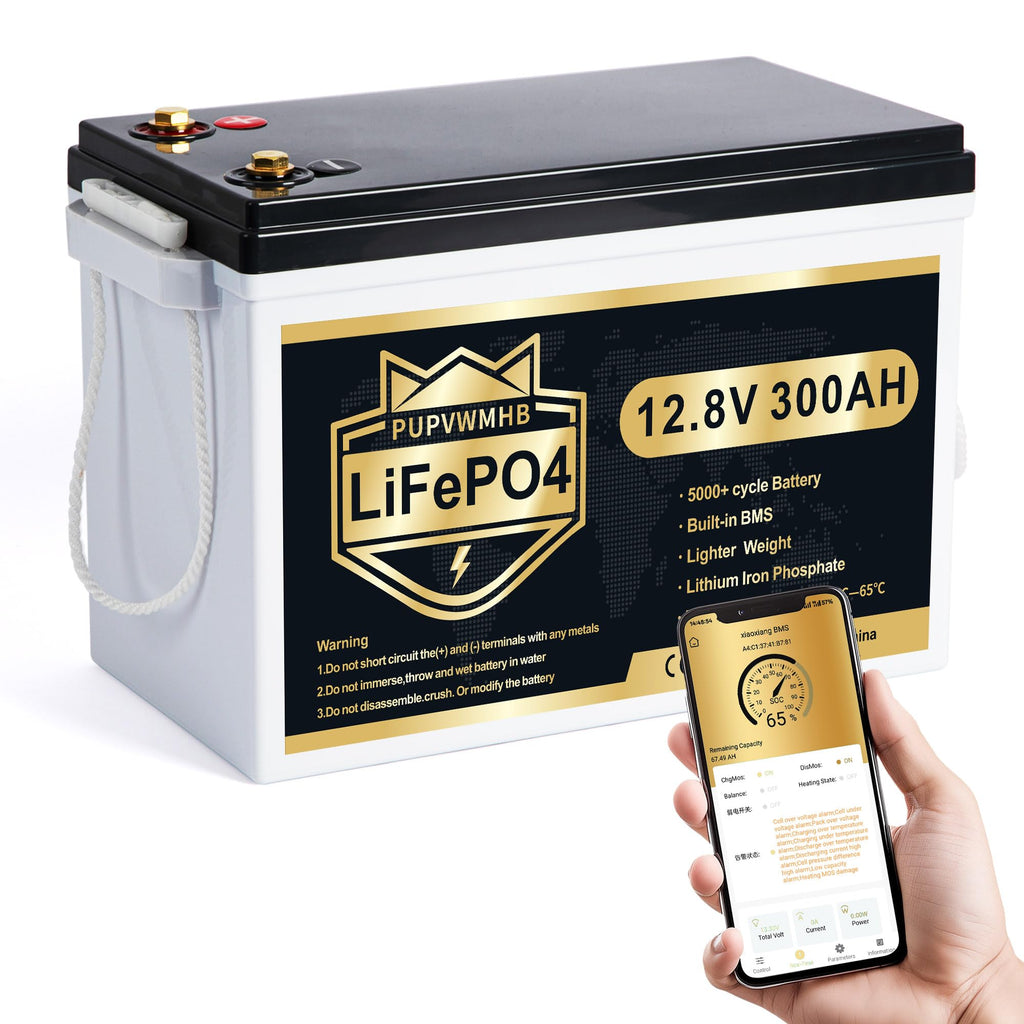 12V 300Ah LiFePO4 Lithium Battery with 200A BMS B132