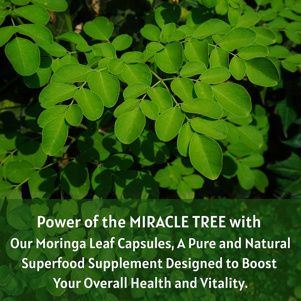 1000 mg Moringa Capsules R27257