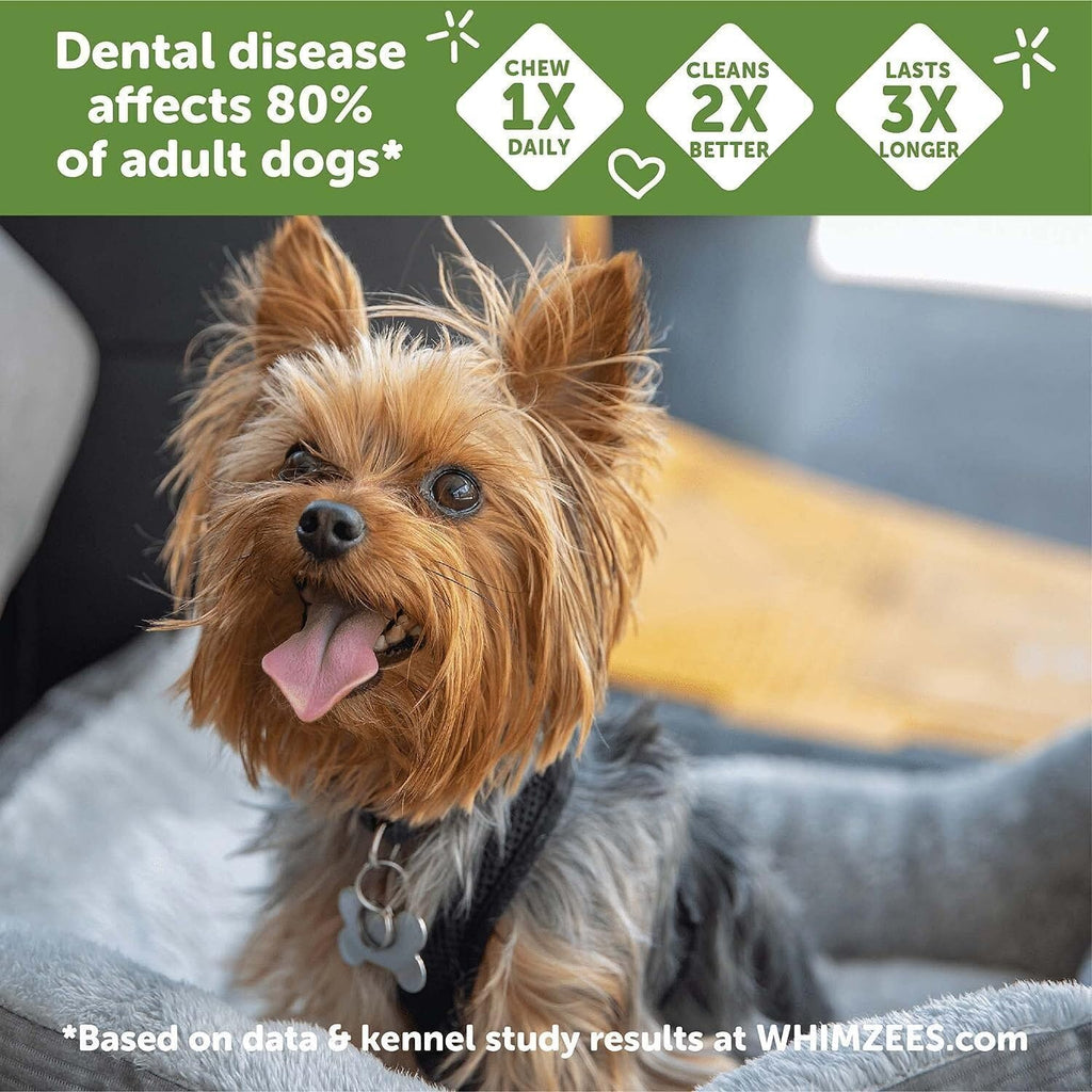 Natural Grain-Free Dental Dog Treats Variety Pack Y830