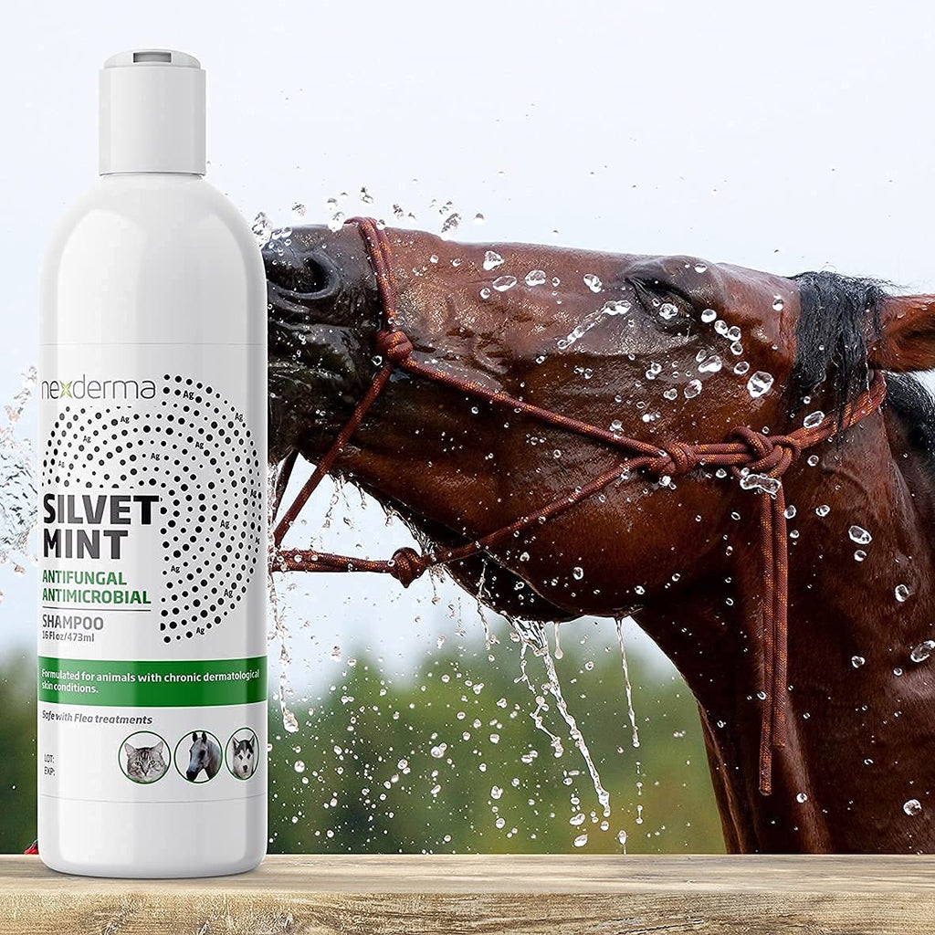 Tearless Hypoallergenic Coconut Oil Pet Shampoo 16oz Y2406