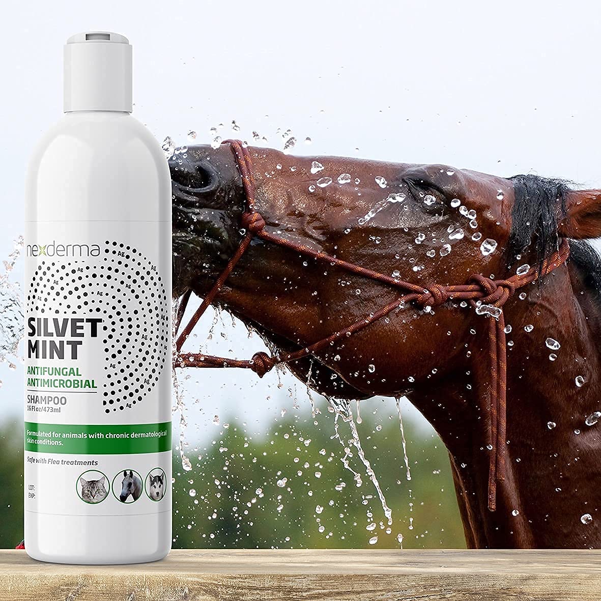 Tearless Hypoallergenic Coconut Oil Pet Shampoo 16oz Y2406