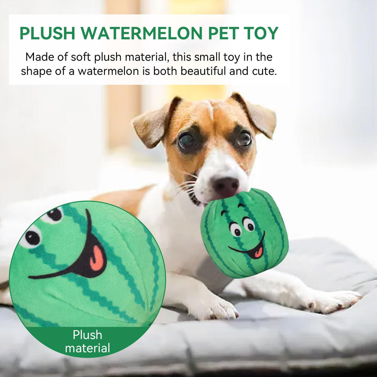4Pcs Squeaky Plush Dog Toys Y16599