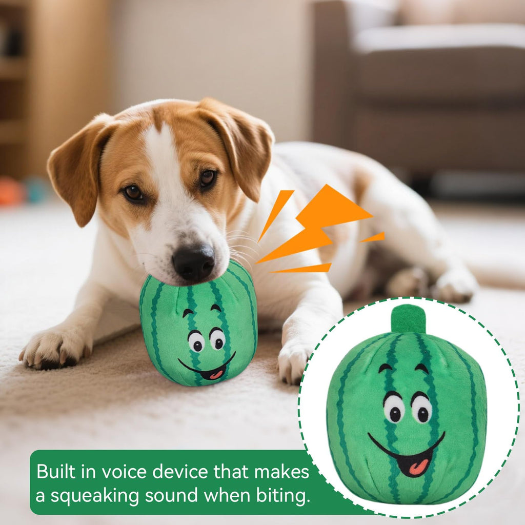 4Pcs Squeaky Plush Dog Toys Y16599