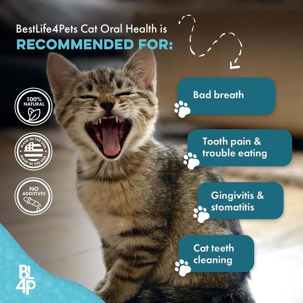 Cat Dental Care Supplement 400 Pills L912776