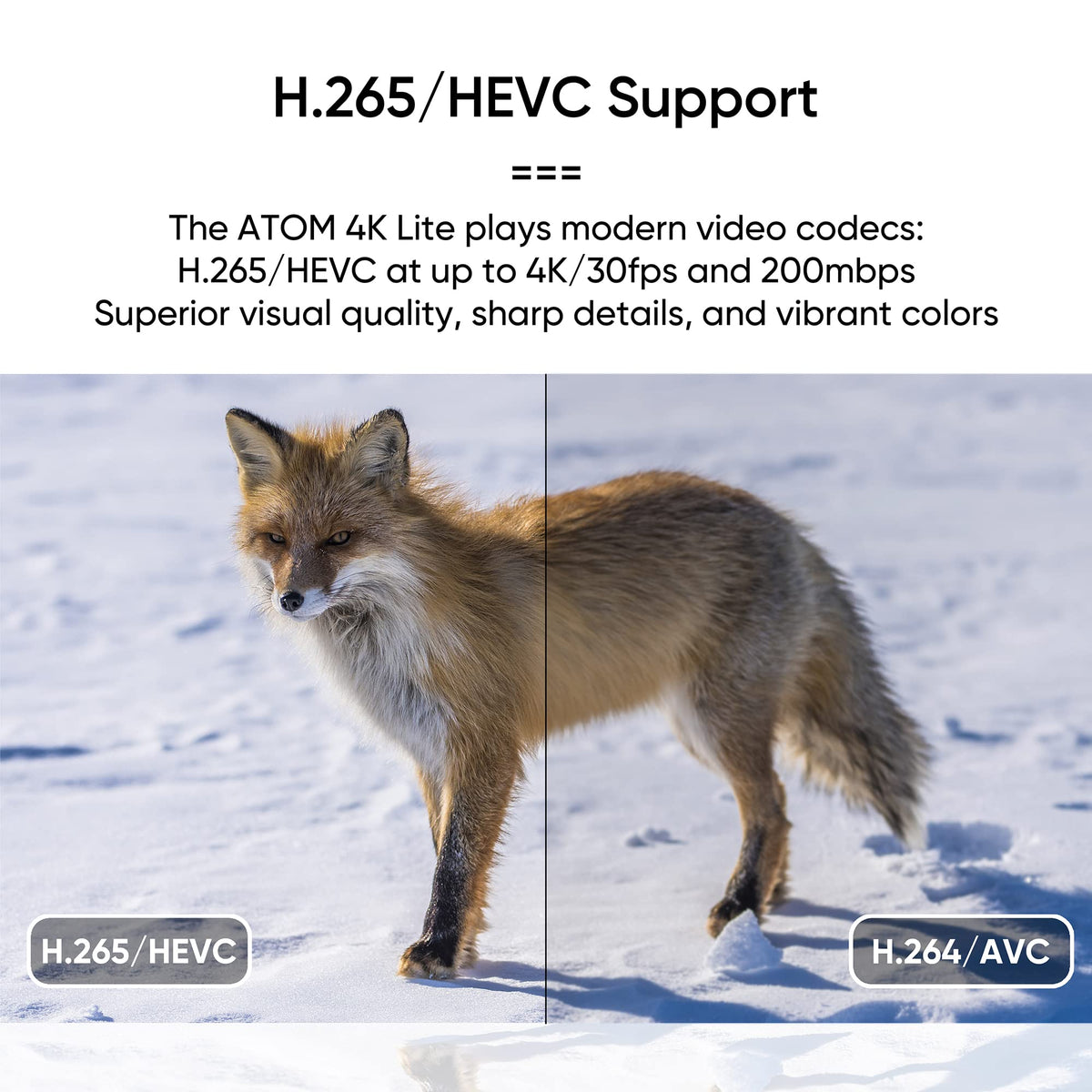 4K Media Player for USB Drives and SD Cards I941006