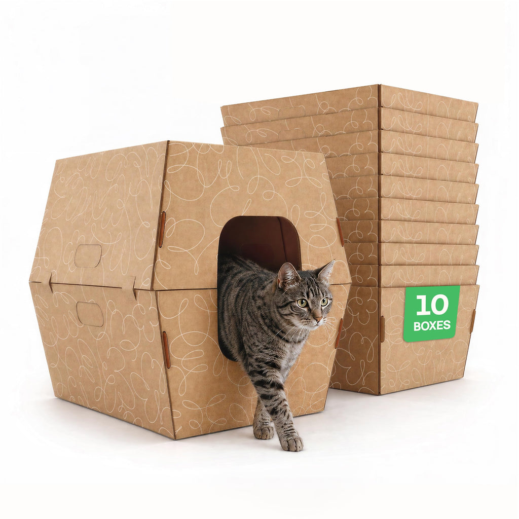 10 Pack Extra Large High Sided Leak Resistant Cardboard Cat Litter Boxes U253