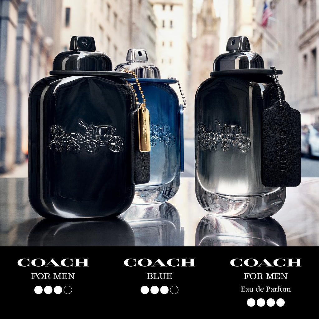 Eau de Toilette Fougere Woody Fragrance P9860
