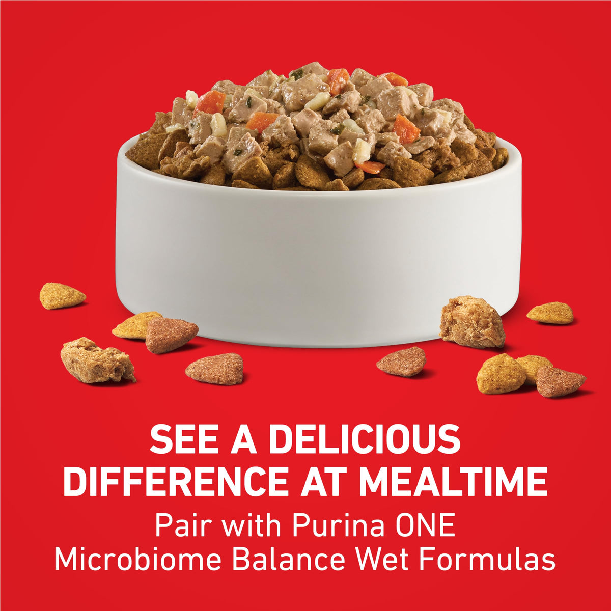 Dog Food Beef and Rice P67901