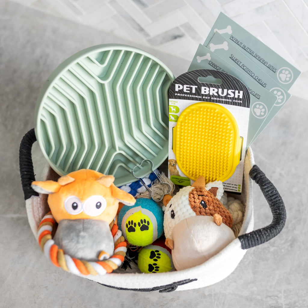 Puppy Gift Basket G23810