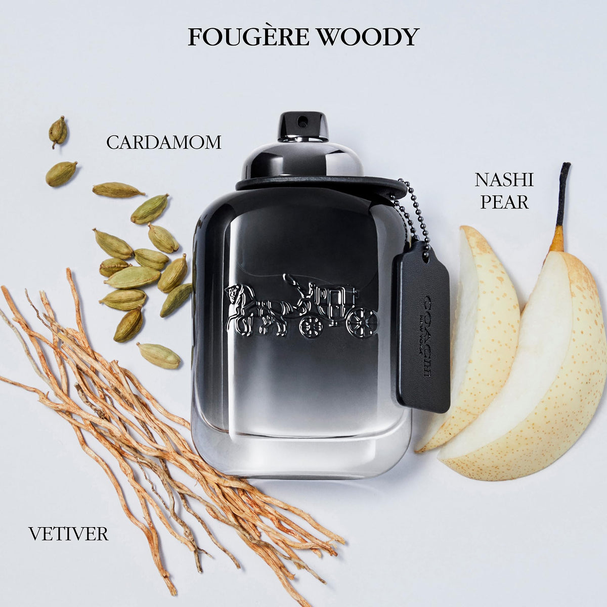 Eau de Toilette Fougere Woody Fragrance P9860