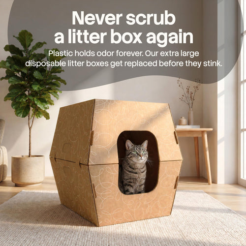 10 Pack Extra Large High Sided Leak Resistant Cardboard Cat Litter Boxes U253