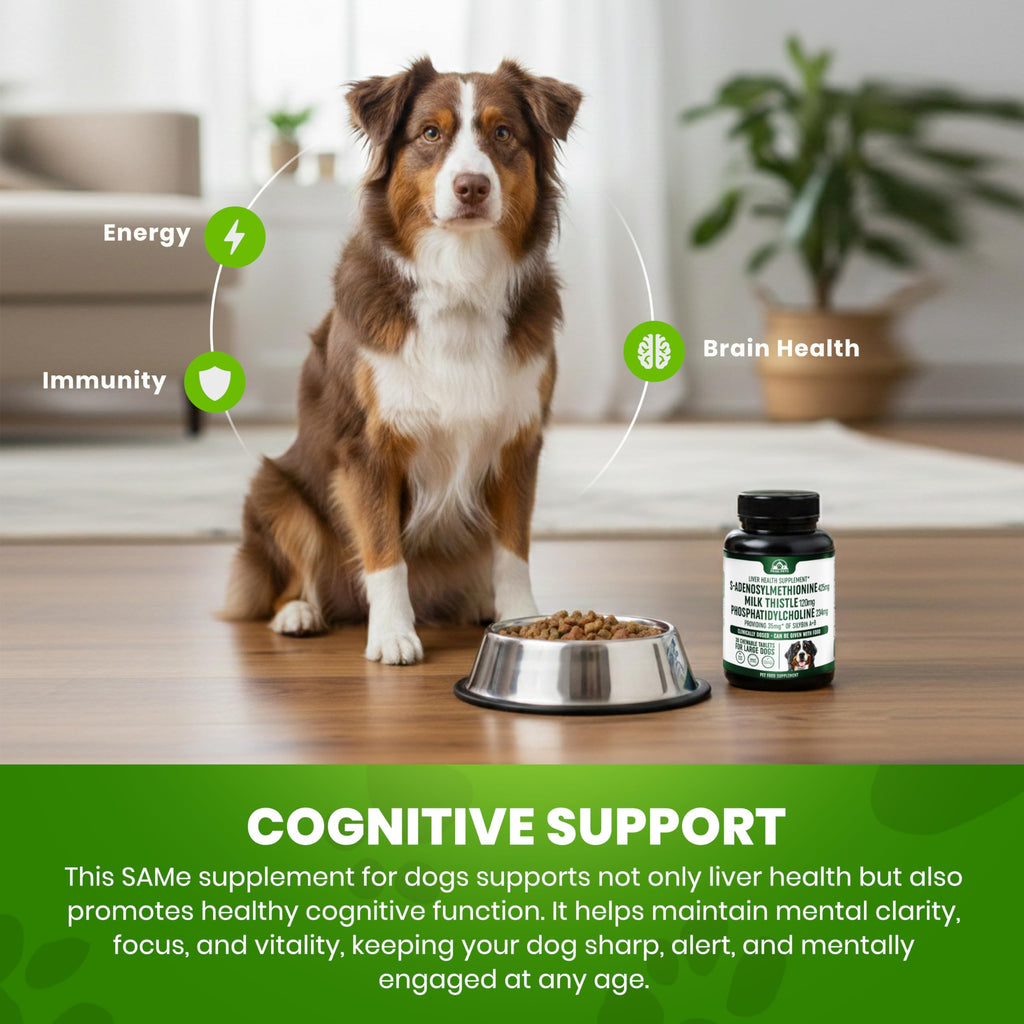 Liver Support Supplement for Large Dogs with Milk Thistle - 30 Chewable Tablets F129186