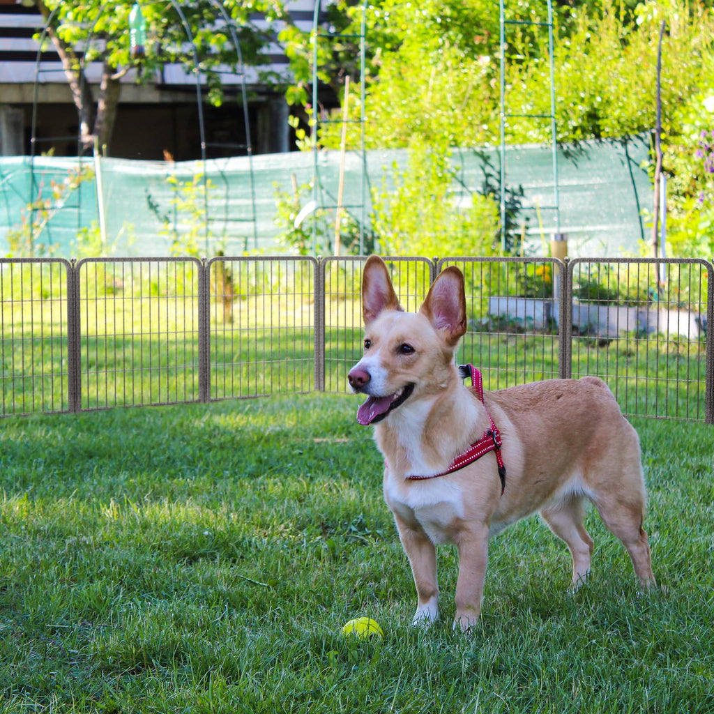 24" H 16 Panels Dog Playpen S65221