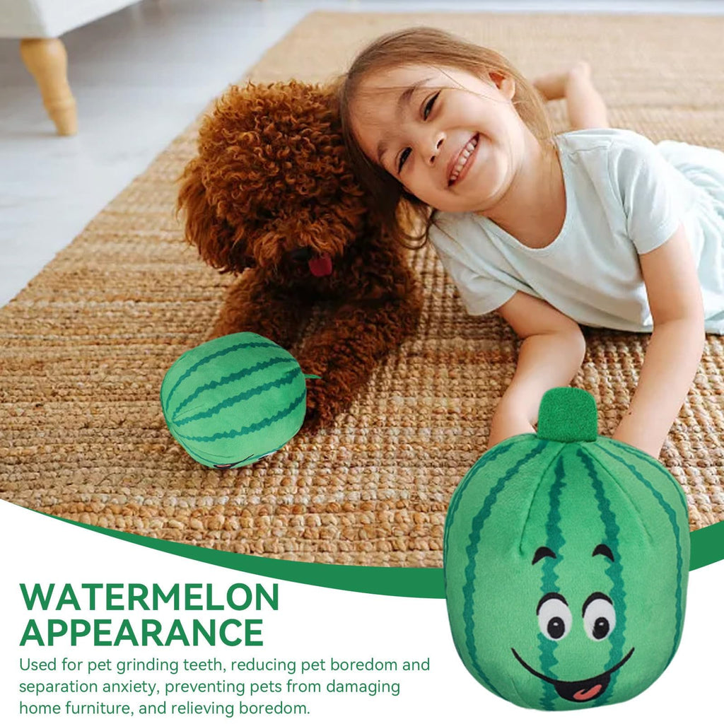 4Pcs Squeaky Plush Dog Toys Y16599