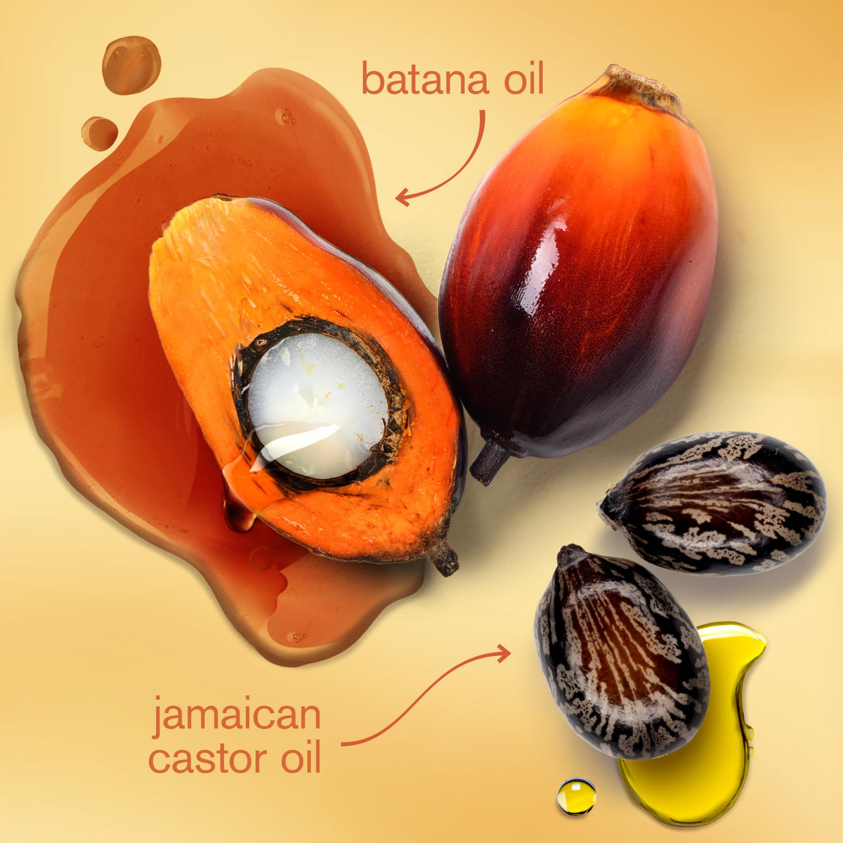 Moisture Nourishing Mask with Batana Oil + Jamaican Black Castor Oil, 10 Ounce (Pack of 12) S3844