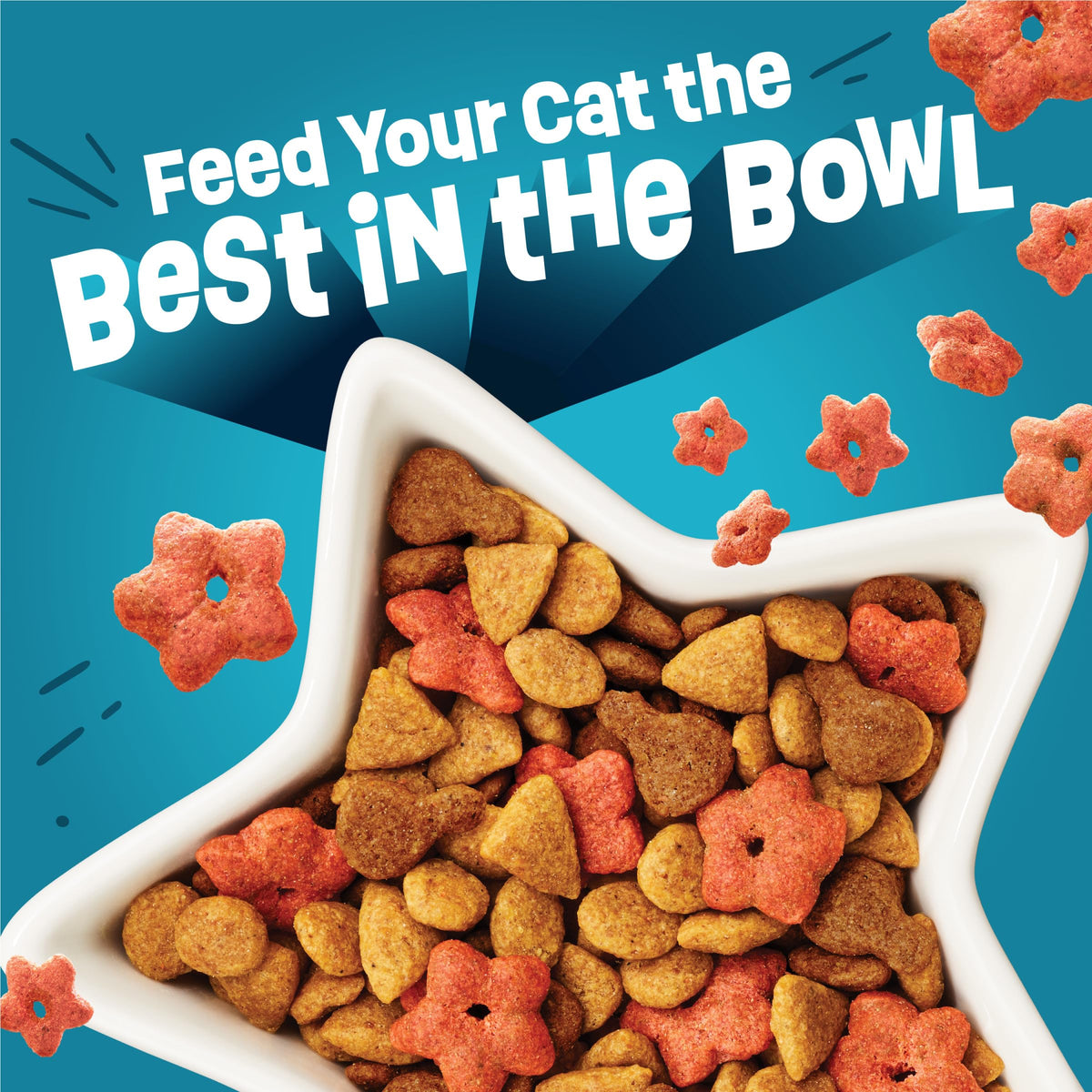 Crunchy Dry Cat Food 3 lb Bag P80714